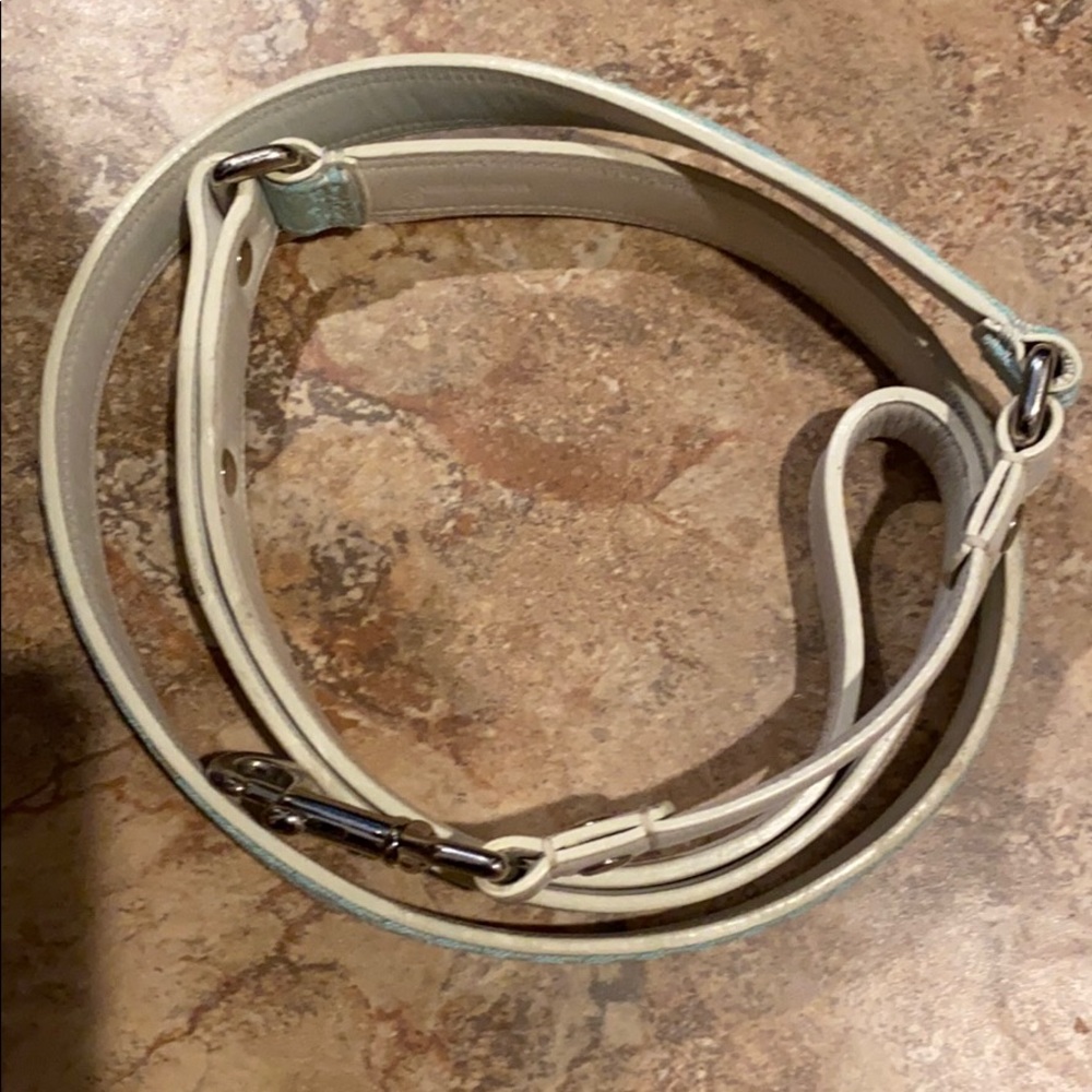 Coach Dog leash
